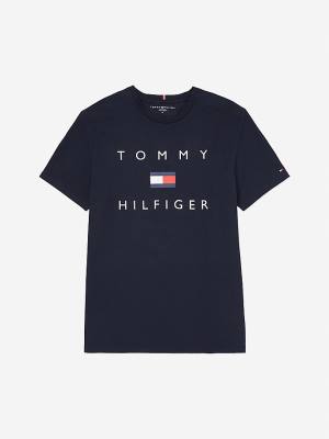 Camiseta Tommy Hilfiger Adaptive Pure Algodon Logo Hombre Azules | TH587NZF